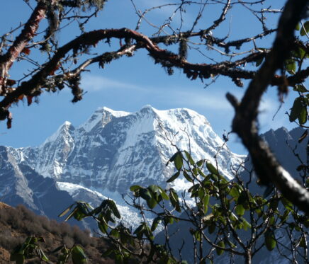 Mera Peak Death Rate
