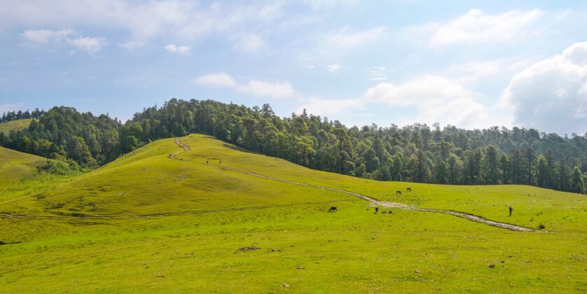 "Khaptad National Park: Nepal's Hidden Natural Gem"