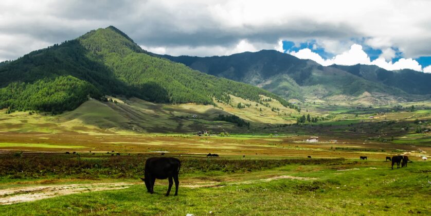 "Khaptad Trek: A Journey into Nature"