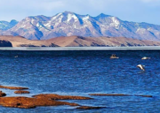 A stunning view of Mansarovar Lake with snow-capped mountains in the background and clear blue waters in Tibet.
