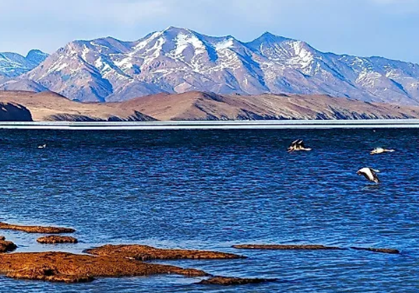 A stunning view of Mansarovar Lake with snow-capped mountains in the background and clear blue waters in Tibet.