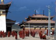 Monks at Nangzhik Gompa Bon monastery in Ngawa, Sichuan, China